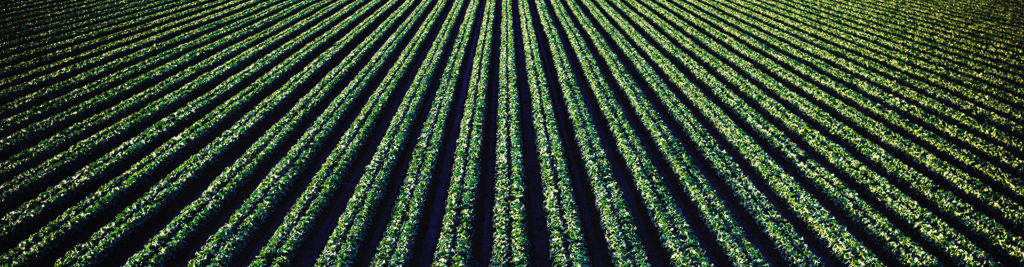 Agriculture