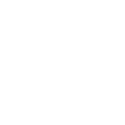 White compass icon with a dial pointing to the upper right, enclosed in a white-outlined circle.